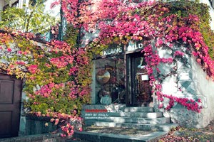 利物浦豪取-胜利，欧洲杯八强赛顺利过关