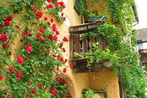 沃特福德客场难求一胜，实力被质疑