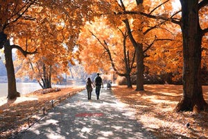 詹姆斯三双破纪录，引领湖人队大胜奇才